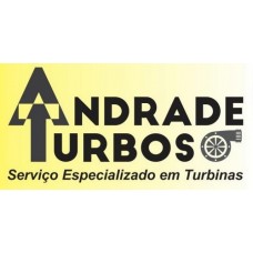 ANDRADE TURBOS LTDA